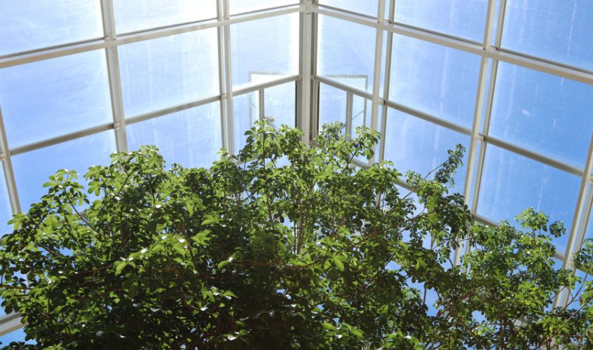Imagen que muestra un techo verde, uno de los sistemas urbanos de drenaje sostenibles más respetuosos con la estructura de un edificio
